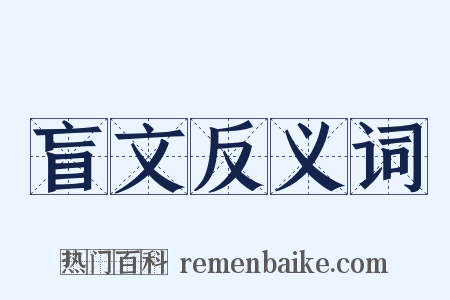 盲文反义词是什么意思的图片